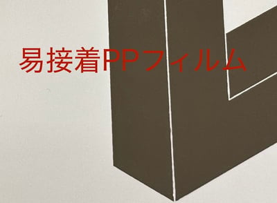 PP-02-12